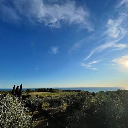 Sunset House Daire Castiglioncello Dış mekan fotoğraf