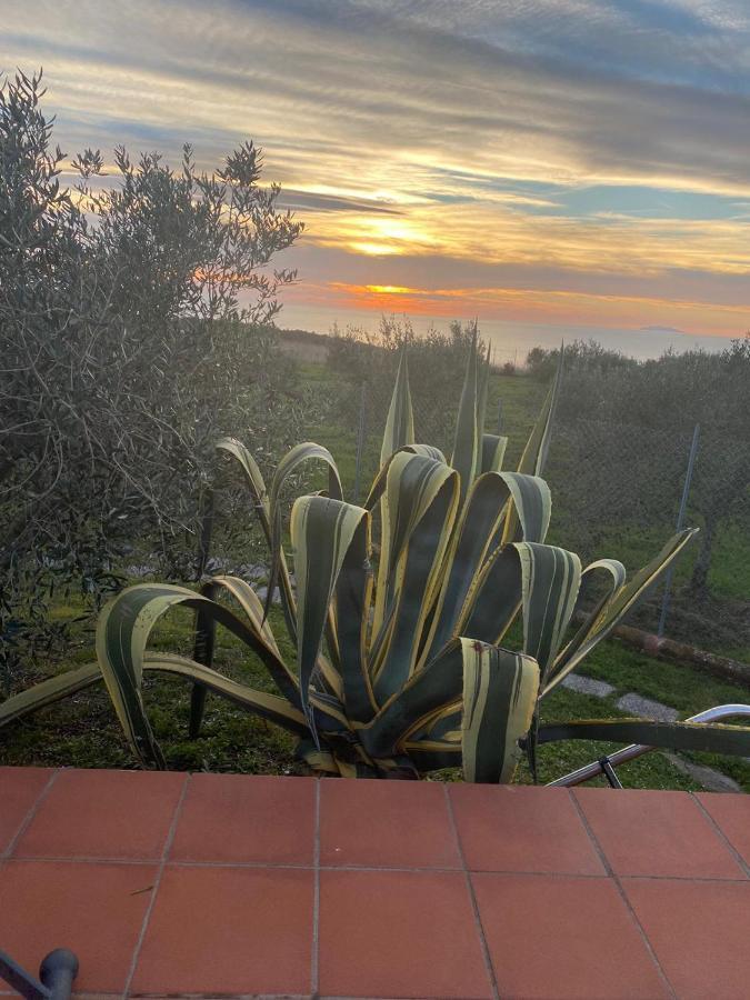 Sunset House Daire Castiglioncello Dış mekan fotoğraf