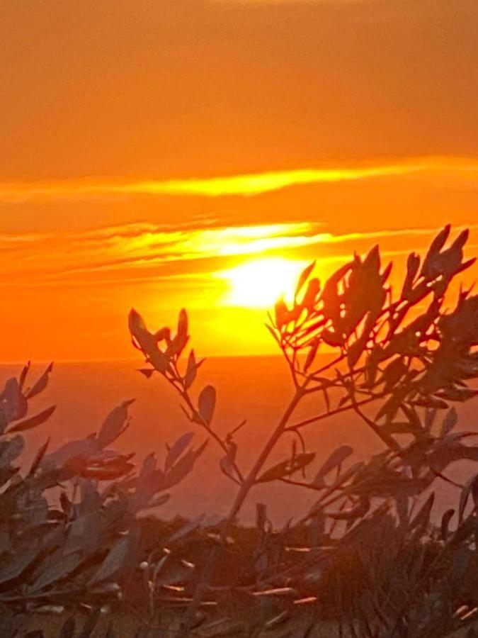 Sunset House Daire Castiglioncello Dış mekan fotoğraf